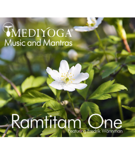 Ramtitam-one-v3.png